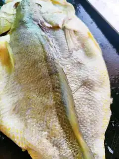 Make Vacuated yellowfish step 3