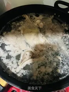 Make Squid pigeon soup step 1