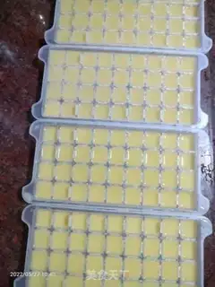 Make Frozen ginger step 2