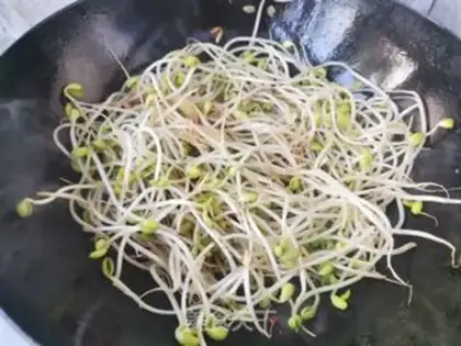 Make Soybean sprouts step 3