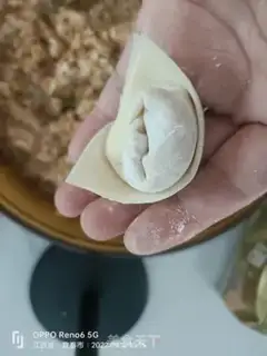 Make Tai Chi step 12