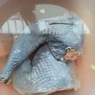 Make Roast chicken with corn meds step 0