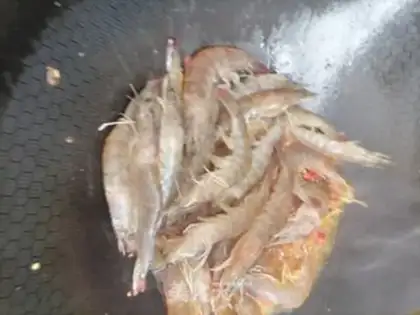 Make Shrimp step 2