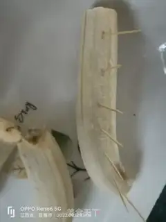 Make Banana pie step 1