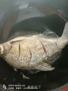 Make Five-sharp flatfish step 1