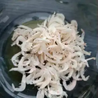 Make Shrimp pickles, egg soup step 7