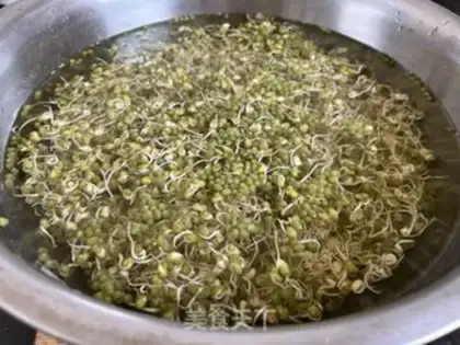 Make Auto green bean sprouts step 4