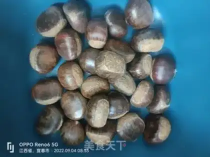 Make Chestnut step 0