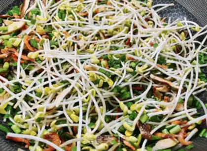 Make Spring rolls step 2