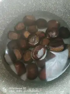Make Chestnut step 2