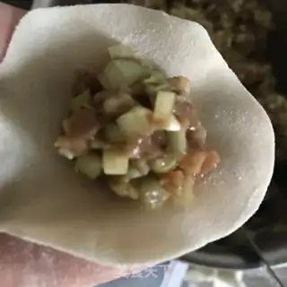 Make Beef dumplings step 8