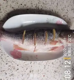 Make Vacuate herring step 0