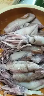 Make Squidfish step 0
