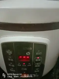 Make Cream chicken step 9