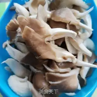 Make Meat loafed mushrooms step 0