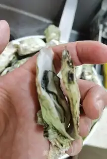 Make Garlic step 1