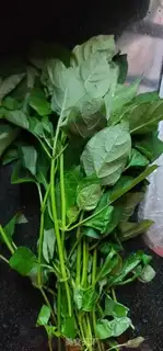 Make Porridge step 1