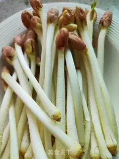 Make Peanut sprouts step 0
