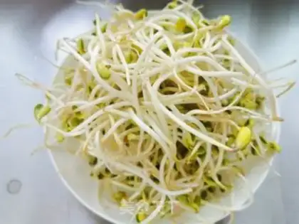 Make Soybean sprouts step 0