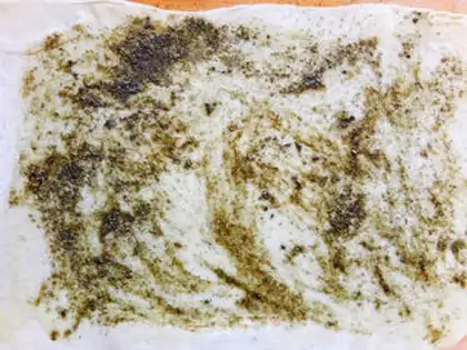 Make Oil and salt rolls step 7