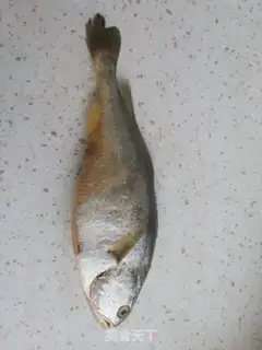 Make Jealousy yellowfish step 0