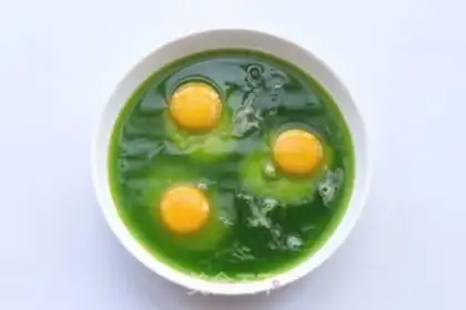 Make Cod steamed eggs step 2