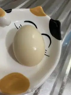 Make Sam