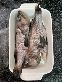 Make Dragonfish step 0