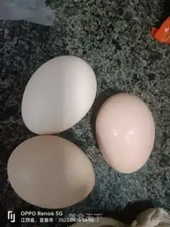 Make Steaming eggs step 0