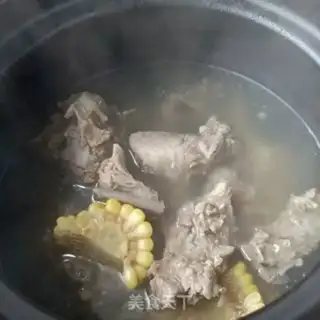Make Little chicken cactus bronchus step 10