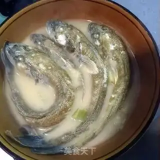 Make Clear the fish step 16