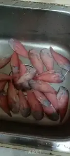 Make Parrot fish step 0