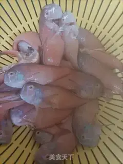 Make Parrot fish step 1