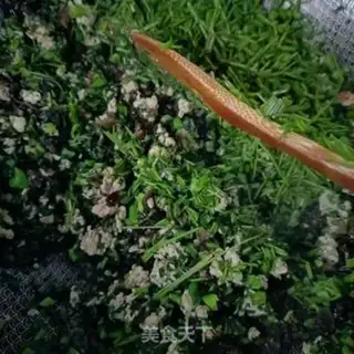 Make Mules, broccoli sprouts step 16