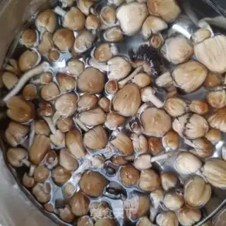 Make Little chicken gill garlic step 0