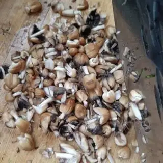 Make Little chicken gill garlic step 1