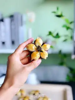 Make "Hand-and-cake peach blossoms." step 7
