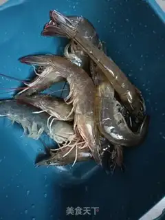 Make Shrimp step 0