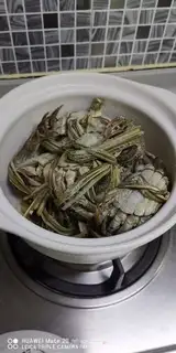 Make Yin and Krabs step 3