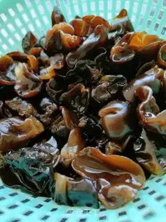 Make A fragrance step 0