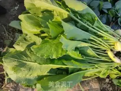 Make radish step 0
