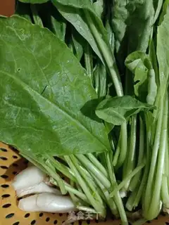 Make Spicy radish step 0