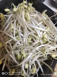 Make Beef butter tofu sprouts step 1