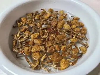 Make Slippy mushrooms and lamb step 2