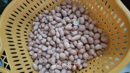 Make Peanut step 0