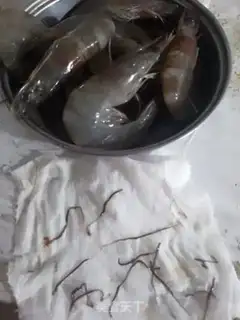 Make Shrimp step 0