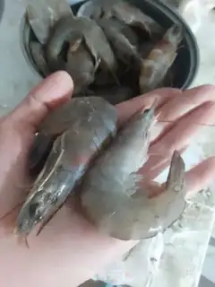 Make Shrimp step 1