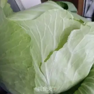 Make ♪ Lotus white cucumber ♪ step 0