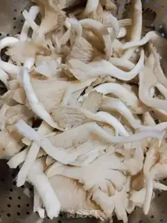 Make Fries step 5
