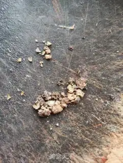 Make Black pepper steams step 2